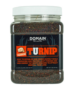 Domain Dts1lb Pounder Turnip