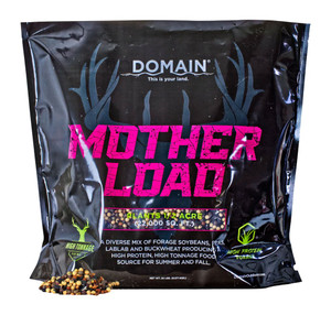 Domain Mlfp20 Mother Load