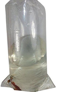 Fish Bag 12x24 1000ct