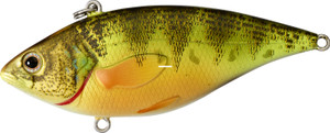 LiveTarget YPR50SK221 Yellow Perch - - Rattlebait - 2in 1/4 oz - YPR50SK221 LiveTarget YPR50SK221 Yellow Perch - - Rattlebait - 2in 1/4 oz - YPR50SK221