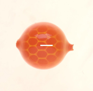 Wordens 608-EFL Lil Corky Bouyant - Drift Bobber, #8, Egg Fluorescent - 608-EFL Wordens 608-EFL Lil Corky Bouyant - Drift Bobber, #8, Egg Fluorescent - 608-EFL