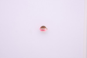 Wordens 612-RBOW Lil Corky Bouyant - Drift Bobber, #12, Rainbow - 612-RBOW Wordens 612-RBOW Lil Corky Bouyant - Drift Bobber, #12, Rainbow - 612-RBOW