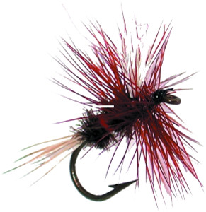 Jackson Cardinal 053-10 Dry Fly - #10, Royal Wulff - 053-10 Jackson Cardinal 053-10 Dry Fly - #10, Royal Wulff - 053-10