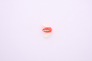 Wordens 068-FLTS-WH Spin-N-Glo - Winged Drift Bobber, #6, Flame - 068-FLTS-WH Wordens 068-FLTS-WH Spin-N-Glo - Winged Drift Bobber, #6, Flame - 068-FLTS-WH