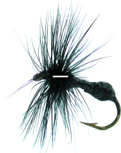 Betts PA-10-9 Black Ant Fishing Fly - Assorted - PA-10-9 Betts PA-10-9 Black Ant Fishing Fly - Assorted - PA-10-9