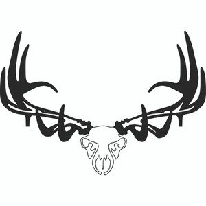 Raxx Bow Hanger Elk Skull - Raxx Bow Hanger Elk Skull -