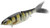 Spro - Spro Chad Shad 180 - 2.4oz 7in Ghost Perch - SKGBCHS180GHC