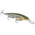 Strike King - Strike King HCKVDJ300DS-464 KVD - Sinking Deep Jerkbait 3 Hook - HCKVDJ300DS-464