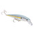 Strike King - Strike King HCKVDJ200E-M591 KVD - Elite 200 Jerkbait Matte Sexy Shad - HCKVDJ200E-M591