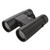 Sig Sauer BuckMaster Binocular 10x42mm - SOBM10421