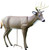 Primos 62601 SCAR Full Body Deer - Decoy - 62601 Primos 62601 SCAR Full Body Deer - Decoy - 62601
