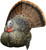 Avian X Decoys - Strutter Turkey Decoy - Lcd - AVX-AVX8004