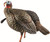 Avian X Decoys - Jake Turkey Decoy - Hdr - AVX8105 Avian X Decoys - Jake Turkey Decoy - Hdr - AVX8105