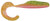 Bass Assassin - Saltwater Curly Shad - 4in 10bg Elec Chicken - CSA27376