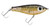 B & L Bait Company - Paul Browns Fat Boy - 3.5in 7/8oz Gold/black - F-09