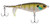 Berkley - Choppo Topwater Bait - 3.25in 1/2oz Mf Bluegill - BHBCP90-MFBG