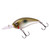 Bomber - Fat Free Guppy Crankbait - 2.38in 3/8oz Grn Prl Shd - BMBD5M520