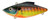Bill Lewis - Original Rat-l-trap - 1/2oz Sunrise Perch - RT-253