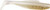 Z-Man - Diezel Minnowz - 4in 5pk Beer Run - DMIN-368PK5