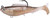 Z-Man - Herculez Rigged Swimbait - 5in Houdini - HERC5-267