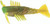Z-Man - Slaty Ned Shrimpz - 2.5in 6pk Midnight Oil - SNS25-350PK6
