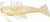 Z-Man - Slaty Ned Shrimpz - 2.5in 6pk Beer Run - SNS25-368PK6