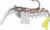 Vudu - Vudu Shrimp - 4in 1/4oz 2pk Creole Mag - E-VS40-14-47