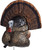 Flextone - Thunder Creep Turk Decoy - Strutter -