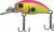 Head Hunter - Crappie Diver Crankbait - 1.5in 3/16oz Morn Glory - CMS125-501-1