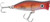 Halco - Roosta Popper 45 Casting - 1.8in 1/8oz Coppa - RP045R40