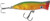 Halco - Roosta Popper 60 Casting - 2.4in 3/16oz Green Mach - RP060R39