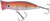 Halco - Roosta Popper 60 Casting - 2.4in 3/16oz Coppa - RP060R40