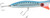 Halco - Roosta Popper 160 Cast - 6.3in 2.7oz Pilchard - RP160H50
