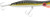 Halco - Roosta Popper 195 Cast - 7.7in 4.1oz Yellowfin - RP195H71