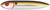 Heddon - One Knocker Zara Spook - 4.5in 3/4oz Z-shad - XK9253434