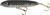 Heddon - One Knocker Zara Spook - 4.5in 3/4oz Spasm - XK9253522