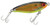 Mirrolure - Mirrodine Suspend Twitch - 2.5in 3/8oz Blk/cht/gld - 17MR-BKGCH