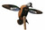 Mojo - Blue Wing Teal Decoy - Elite W/3p - HW2475-3P