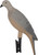 Mojo - Clip On Dove Decoy - 4pk - HW9004
