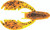 Netbait - Baitfuel Paca Chunk - 3in 6bg Alabama Craw - X36518