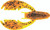 Netbait - Baitfuel Paca Chunk Sr - 3.25in 5bg Alabama Craw - X37518