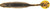 Netbait - Baitfuel Little Spanky - 3.25in 9bg Green Pumpkin - X58505
