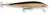 Rapala - Original Floating Minnow - 2.75in 1/8oz Gold/blk - F07G