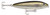 Rapala - Saltwater Skitter Walk - 4.38in 1/2oz Spcek Trout - SSW11ST