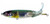 River 2 Sea - Whopper Plopper 90 - 3.5in 1/2oz Abalone Shad - WPL90-27