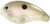 Strike King - Pro Series 6xd Crankbait - 3in 1oz Grn Gizz Shad - HC6XD-568