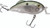 Strike King - Hybrid Hunter Jr Crkbait - 3in 1/2oz Green Gizzard - HCHHJR-568