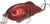 Strike King - Hybrid Hunter Shallow - 3.5in 1oz Delta Red - HCHHS-450