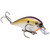 Strike King - Kvd Squarebill Crankbait - 2.25in 1/2oz Tenn Shad 2 - HCKVDS1.5-469