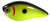 Strike King - Kvd Squarebill Crankbait - 2.25in 1/2oz Chart/black - HCKVDS1.5-535
